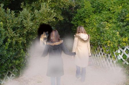 le loup